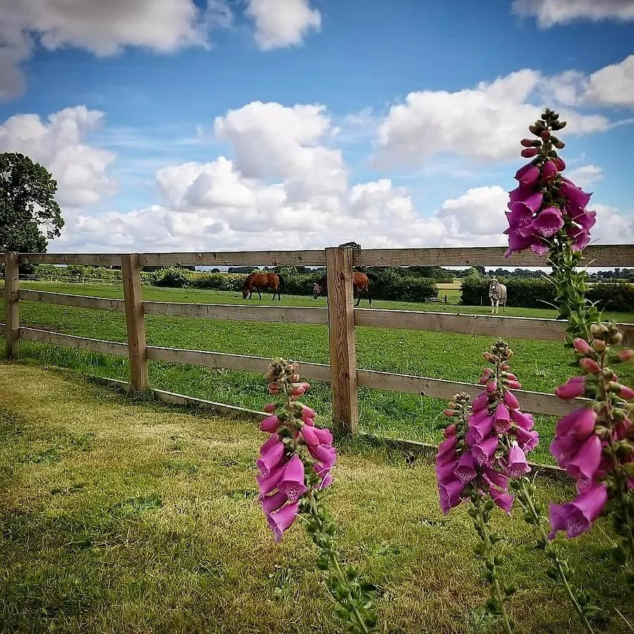 Burton Grange Farmhouse Bed And Breakfast Boroughbridge Bed & Breakfast