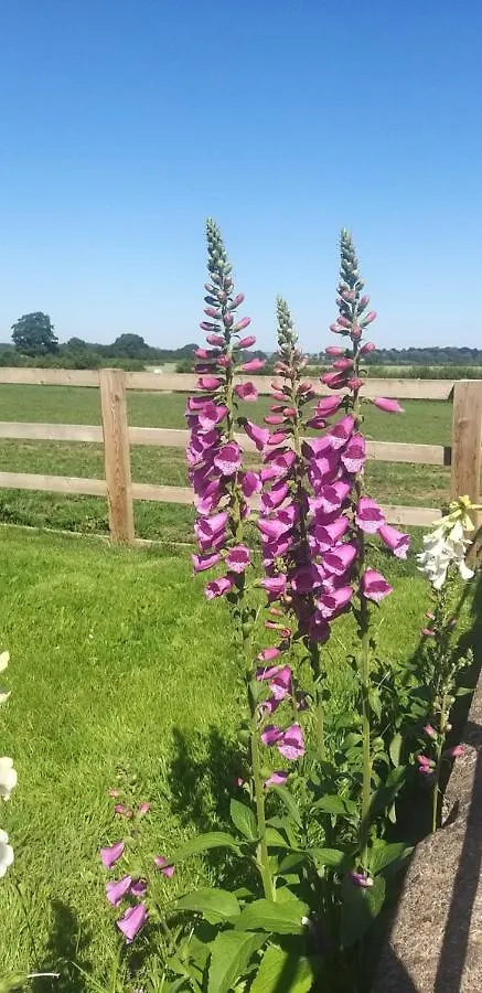 Burton Grange Farmhouse Bed And Breakfast Boroughbridge Bed & Breakfast