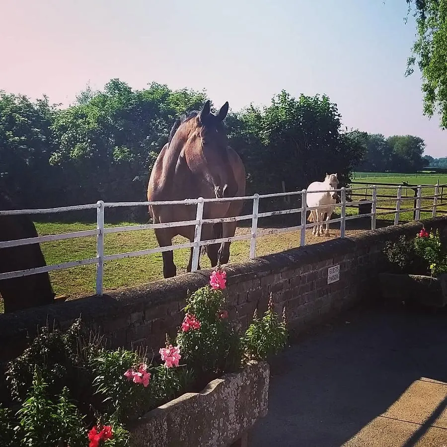 Burton Grange Farmhouse Bed And Breakfast Boroughbridge