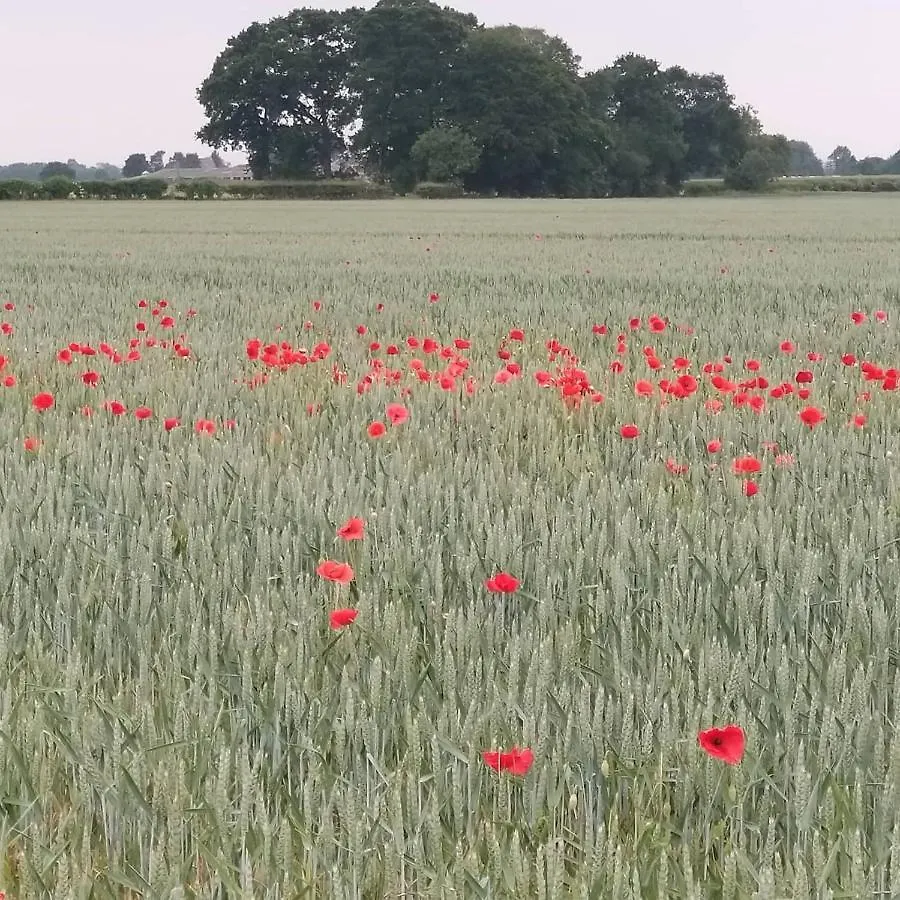 Burton Grange Farmhouse Bed And Breakfast Boroughbridge