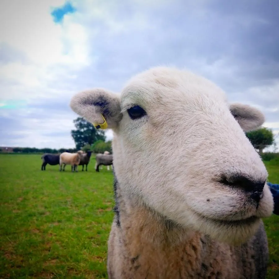 Burton Grange Farmhouse Bed And Breakfast Boroughbridge United Kingdom