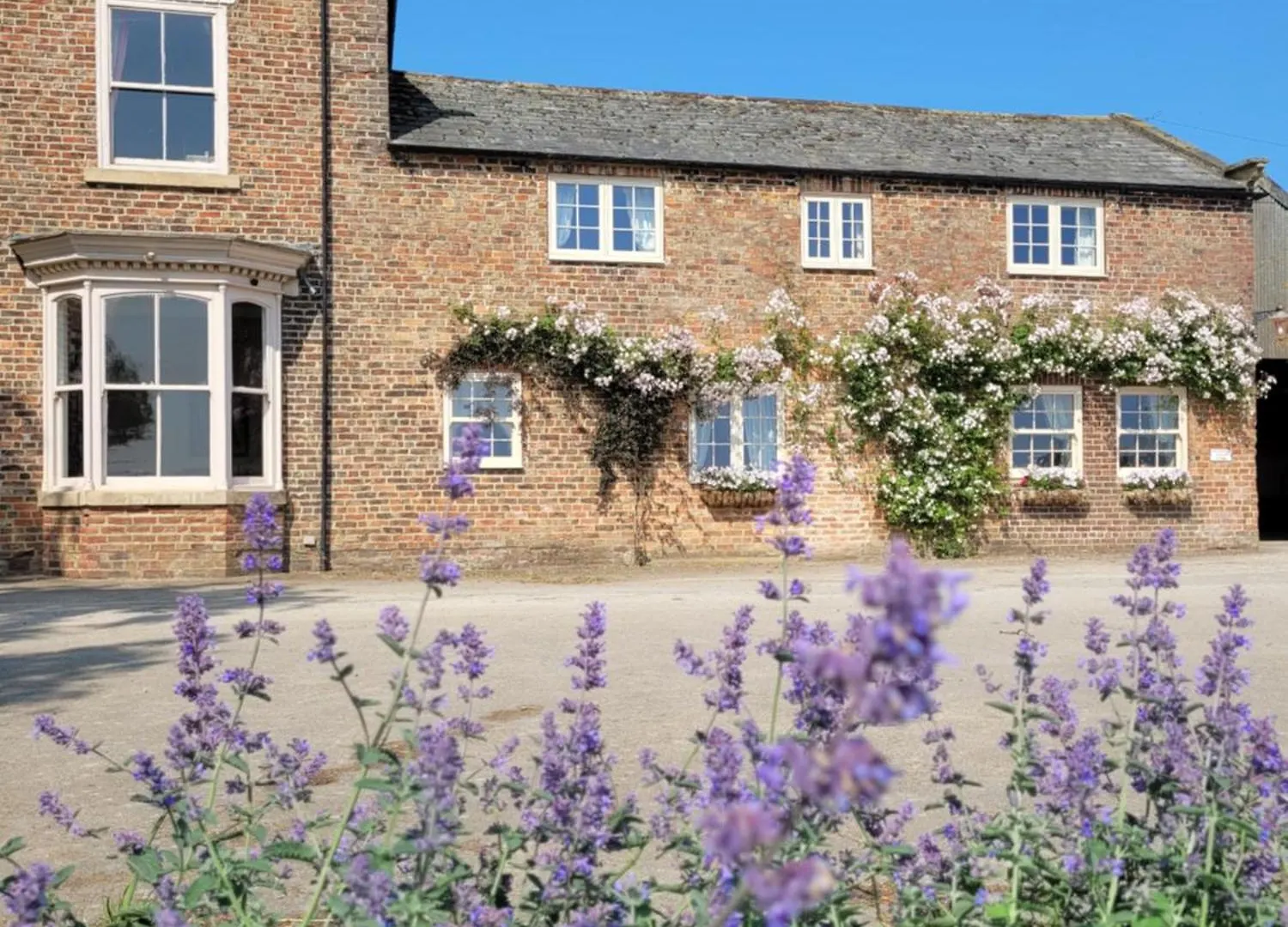 Bed & Breakfast Burton Grange Farmhouse Bed And Breakfast Boroughbridge